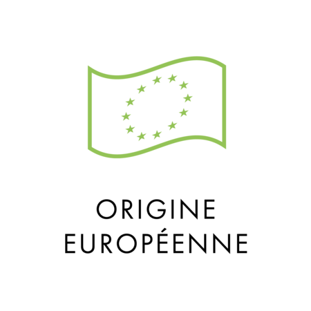 icone origine européenne