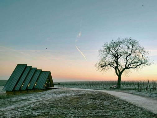 Chapelle au milieu des vignes