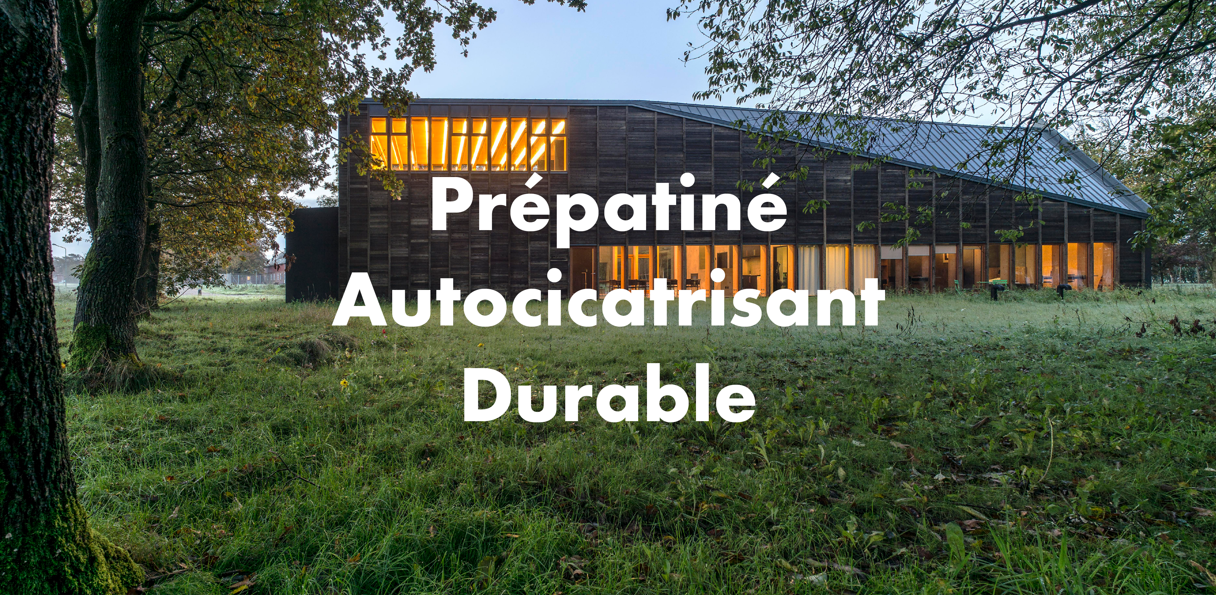 prépatiné, autocicatrisant, durable