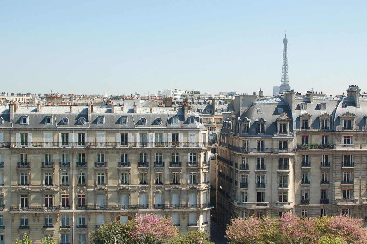 Vue depuis les toits de la fac dauphine